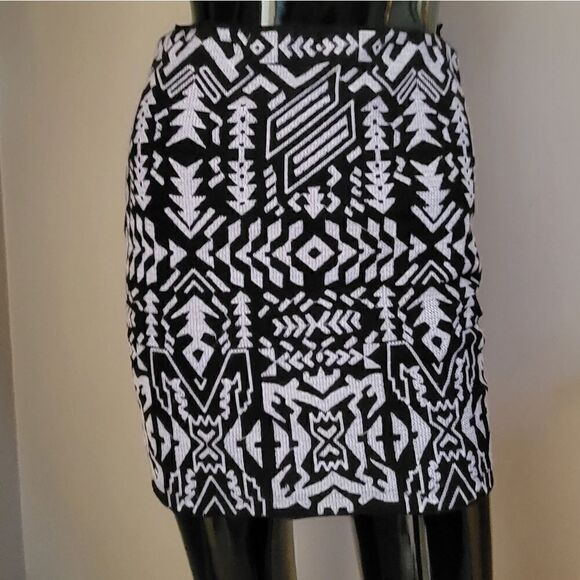 Search for Sanity Dresses & Skirts - Search For Sanity Geometric Mini Skirt